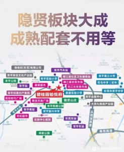 碧桂园·铂悦府根本疑息项目称号:碧桂园铂悦府开辟商:东莞市常-6.jpg