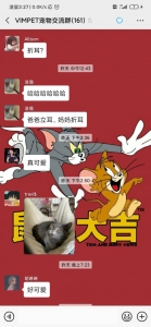 佛山辱物猫猫群,需求进的联络我!-2.jpg