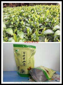 肇庆利剑毛茶 特初春茶 茶叶礼物茶办公茶叶13420509709韶闭绿茶-2.jpg