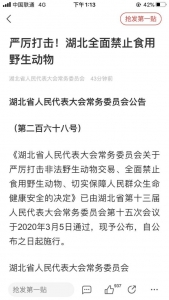 【当地交换】出事 既然湖北不克不及吃 我便来广东吃竹鼠-1.jpg