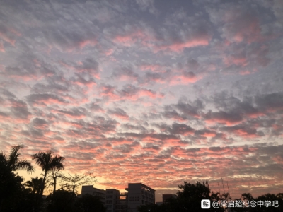 江门职业技术学院#江门职业技术学院#江门职业技术学院 &amp;#xF3EB; 有-8.jpg