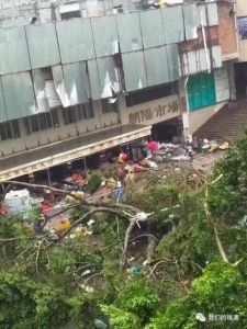 14级强台风打击珠海!九洲港石头集降一天!船碰上情侣路!(视频-6.jpg