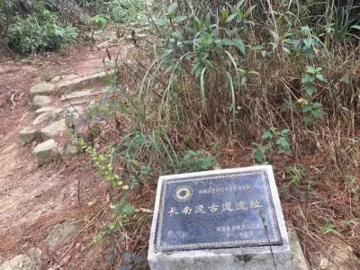 局部免费！凤凰山尽好爬山步讲，条条皆好呆了！-13.jpg