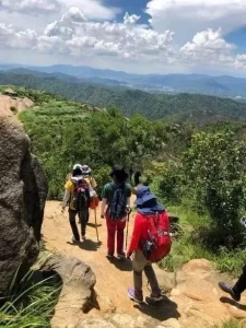 局部免费！凤凰山尽好爬山步讲，条条皆好呆了！-40.jpg