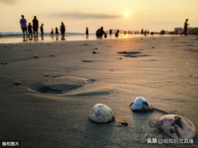 海内氛围最好的都会之一惠州  部门景面照片浏览-13.jpg