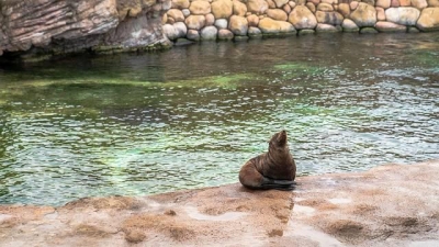 海底探秘，尽正在珠海少隆陆地王国-35.jpg