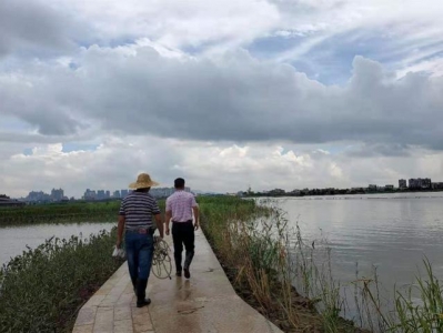 珠海黄杨河惊现鳄鱼？回应：没有是鳄鱼岛景区跑出去的-3.jpg