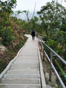 周日跟从珠海户中网板樟山纪行-91.jpg