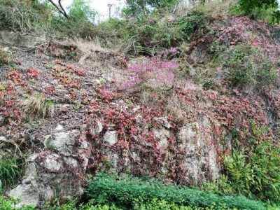 周日跟从珠海户中网板樟山纪行-103.jpg