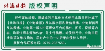 北海“牵脚”粤港澳年夜湾区！客岁引进项目共94个方案投资总额约876.89亿元-11.jpg