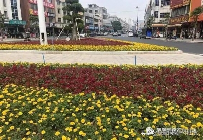 市内乱多条动脉加快促进，中山中联内乱通加快构成-15.jpg