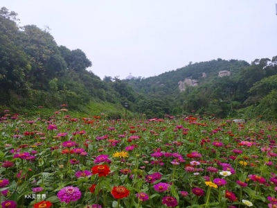 珠海必来的最至公园，可正在草坪上家餐赏花看海，便正在珠海渔女旁-9.jpg