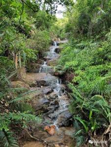 徒步珠海少北迳旧道-18.jpg