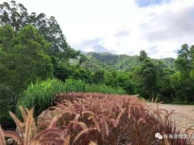 徒步珠海少北迳旧道-47.jpg