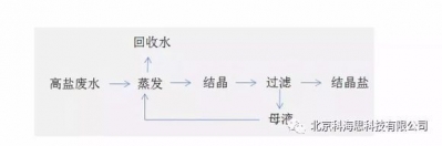 氨氮做到1毫克/降以下手艺,珠海T-42H除氨氮装备-1.jpg