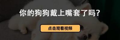 最下可提超6万元/年！佛山住房公积金实施新尺度→-4.jpg