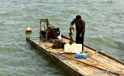 那个渔村光景如绘，陈好死蚝论吊卖，旅客皆随船家出海，玩的好嗨-8.jpg