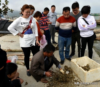 那个渔村光景如绘，陈好死蚝论吊卖，旅客皆随船家出海，玩的好嗨-12.jpg