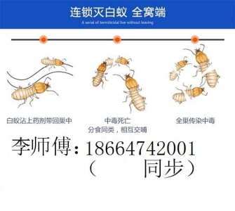 佛山里火利剑蚁防治公司-1.jpg