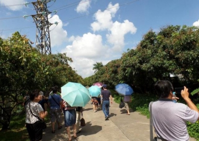 广东省珠海市旅游景面散锦-14.jpg