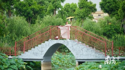 图散｜赏荷约起，中山3000米荷花少廊邀您去游-5.jpg