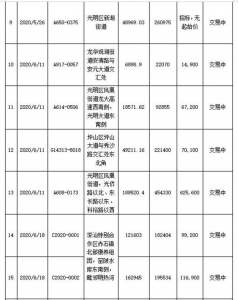 17.76亿元！龙华坪山两天块出让均用于建人材房 最下卖价没有超4.16万元/仄圆米-6.jpg