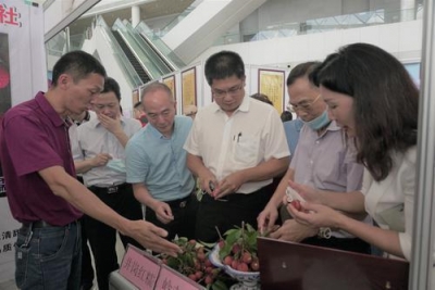 「粤曲击」惠州市尾届东坡荔枝文明节落幕，擦明“东”“荔”两年夜金招牌-1.jpg