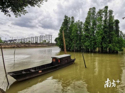 宽守耕天白线，江门挨制地盘综开整治本杆-5.jpg