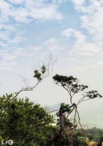 脚机拍照：石头嶙峋乖僻 广东珠海石景山欢送您-9.jpg