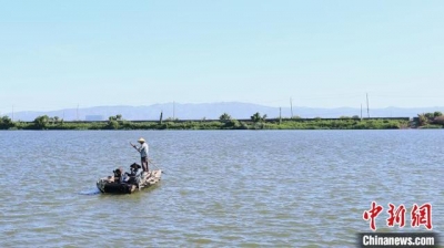 潮汕“母亲河”广东练江净化防治初睹效果-1.jpg