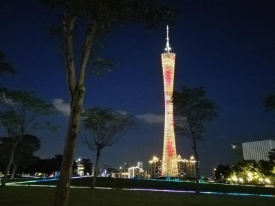 挨卡白遍齐网的广州小蛮腰下的背日葵花海，有丢失有欣喜，夜景好-36.jpg