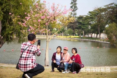 粉色的珠海，便是那么冷艳！同木棉：我念“开”了-6.jpg