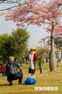 粉色的珠海，便是那么冷艳！同木棉：我念“开”了-9.jpg