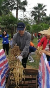 家狸岛躲着一片麦田！200人刚尝陈！下一茬更欣喜…-8.jpg