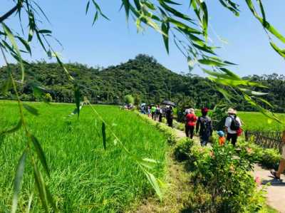 国庆时期欢迎旅客57万人次，斗门景区受热捧-2.jpg