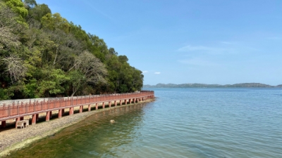 厦门有鼓浪屿,三亚有凤凰岛,珠海有野狸岛,汕尾有屿仔岛!从曲-8.jpg