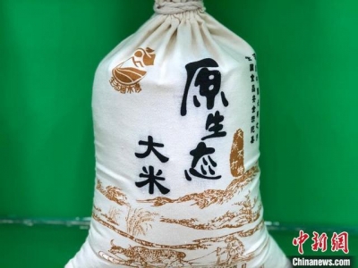 广东税支“组开拳”筑巢引凤 展便扶贫致富路