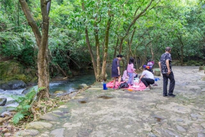 广东肇庆｜人少景好！竹林、亲火溪流、游船参观，那里...