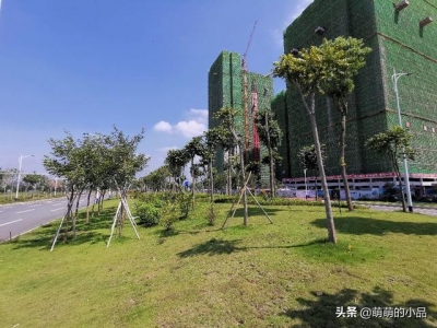 惠州仲恺潼湖门路建立的怎样了？带各人真天来看下