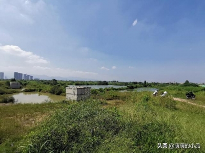 惠州仲恺潼湖门路建立的怎样了？带各人真天来看下