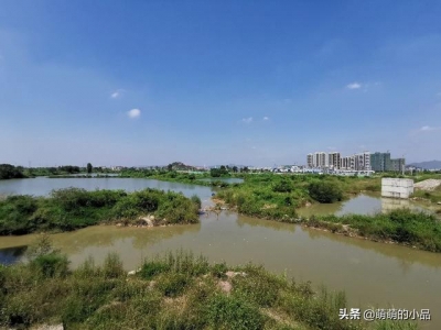 惠州仲恺潼湖门路建立的怎样了？带各人真天来看下