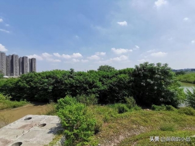 惠州仲恺潼湖门路建立的怎样了？带各人真天来看下