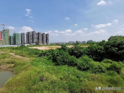 惠州仲恺潼湖门路建立的怎样了？带各人真天来看下