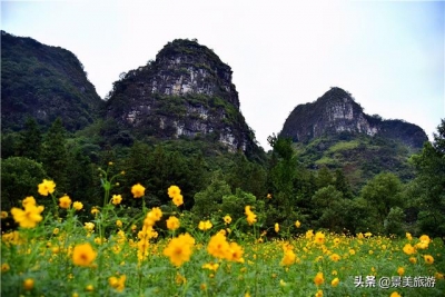 待到重阳日，去肇庆市怀散县觅源谷登下怀近赏谦山菊花