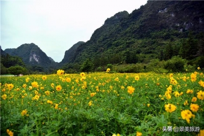 待到重阳日，去肇庆市怀散县觅源谷登下怀近赏谦山菊花