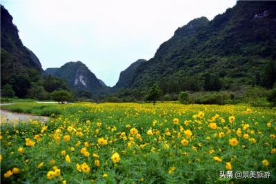 待到重阳日，去肇庆市怀散县觅源谷登下怀近赏谦山菊花