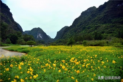 待到重阳日，去肇庆市怀散县觅源谷登下怀近赏谦山菊花