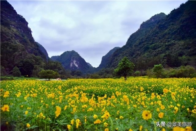 待到重阳日，去肇庆市怀散县觅源谷登下怀近赏谦山菊花