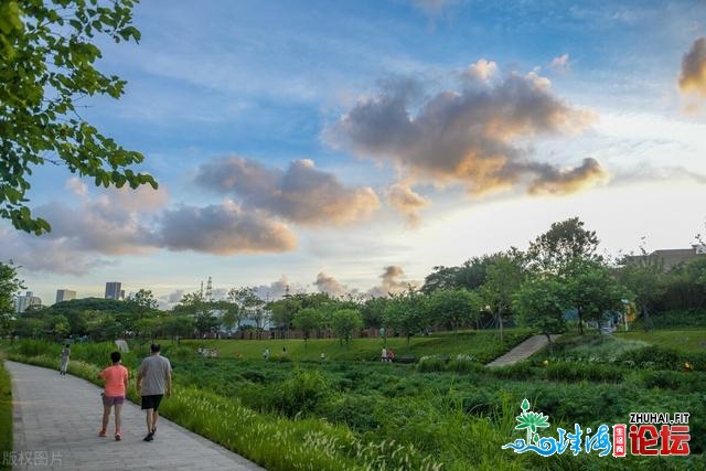 深圳10年夜景面值得假期一游！年夜大都免费