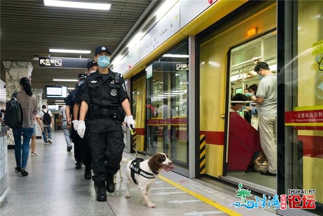 广州1.9万警力确保国庆中春“单节”假期尾日社会晤安稳...